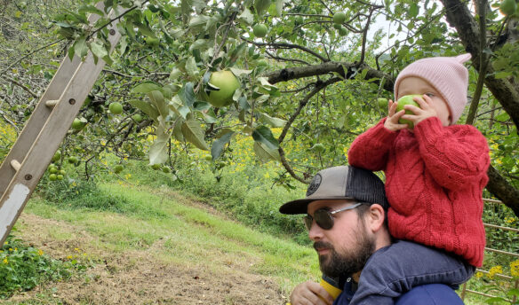 Child on father's shoulders eating an apple
