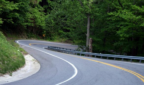 Winding road through green trees