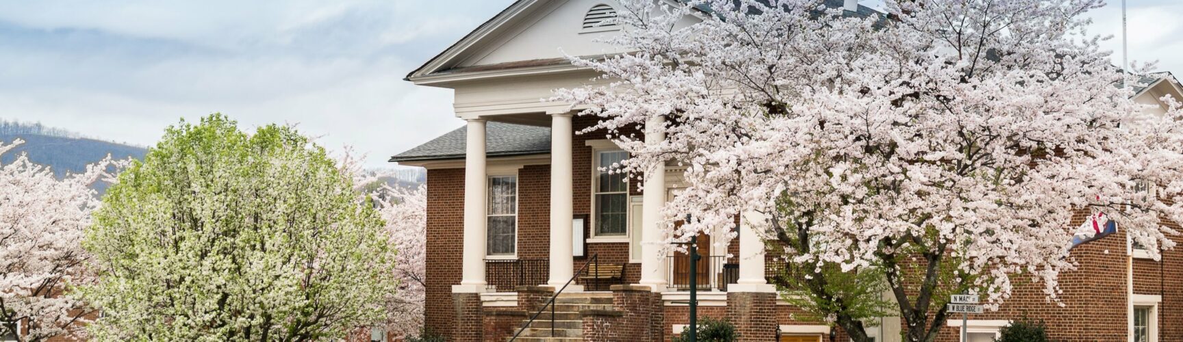 Courthouse with flowering tree