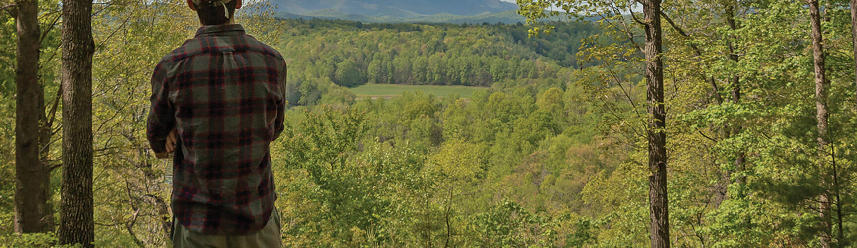 Hiker looking at Bull Mountain