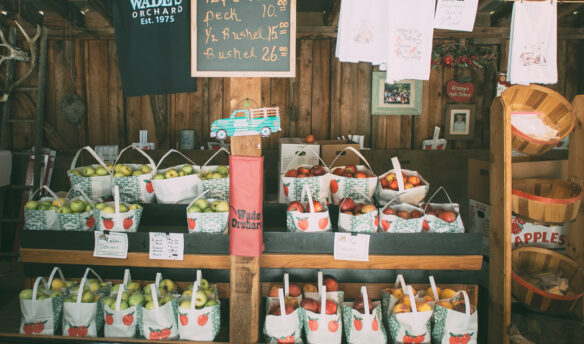 Apple display at farmstand